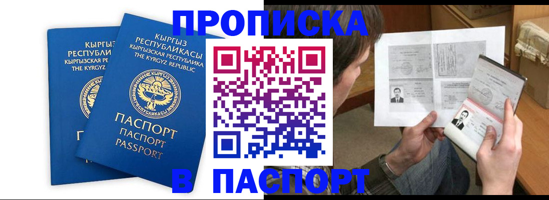 прописка гарантия в Камышине